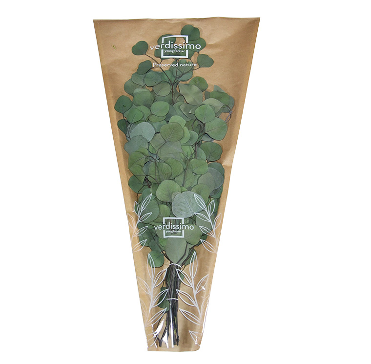 ZVB POPULUS GREEN 40/80  3421770104021