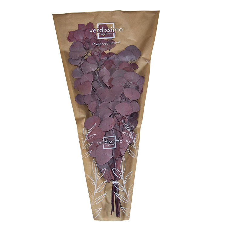 ZVB POPULUS RED 40/80  8435056043657