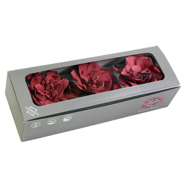 ZVB GARDENIA CRANBERRY 8435056094901