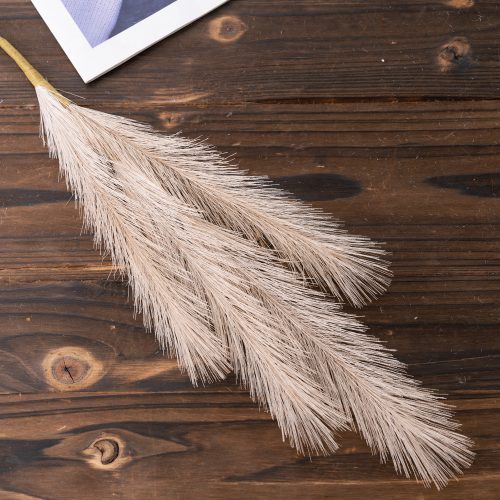 4 ágú pampafű ág- 58cm magas - Bézs